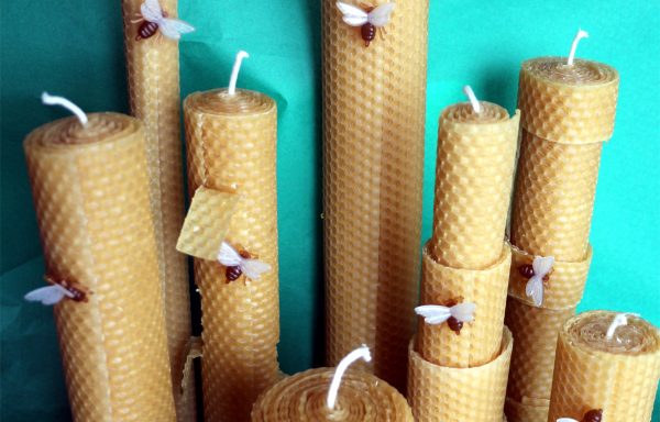 Bougies gamme Petite abeille - Gaufrée