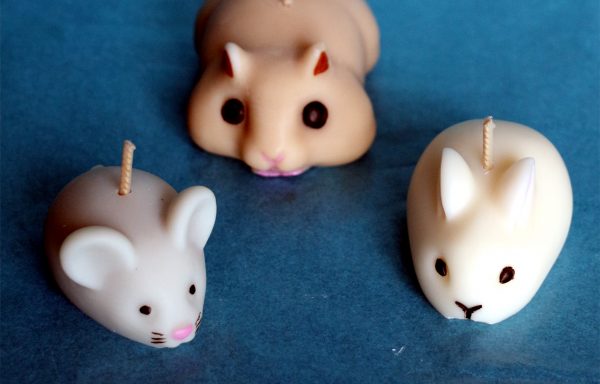 3 petites bougies animaux : hamster, lapin & souris