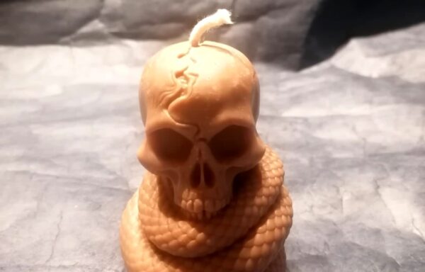 Halloween – Skull & Snake