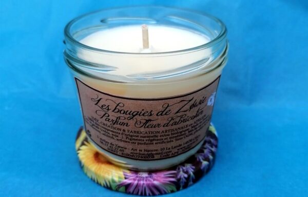 Pot’s : Fleur d’abricotier