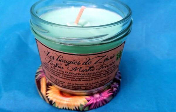 Pot’s : Menthe citronnée