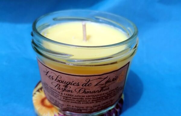 Pot’s : Osmanthus