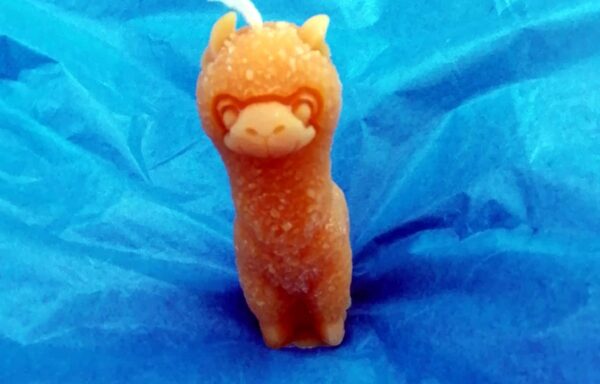 Lama