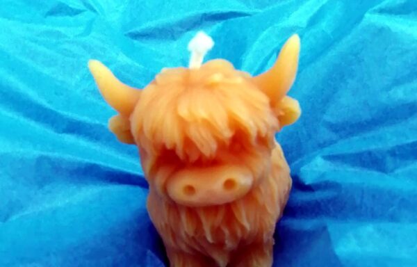 Vache Highlands