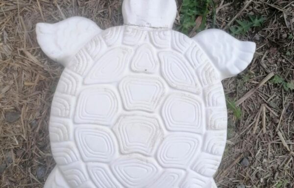 Pas japonais – tortue