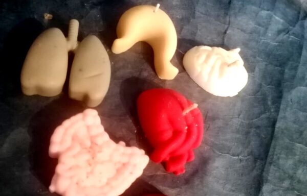 Halloween – chauffe-plats organes