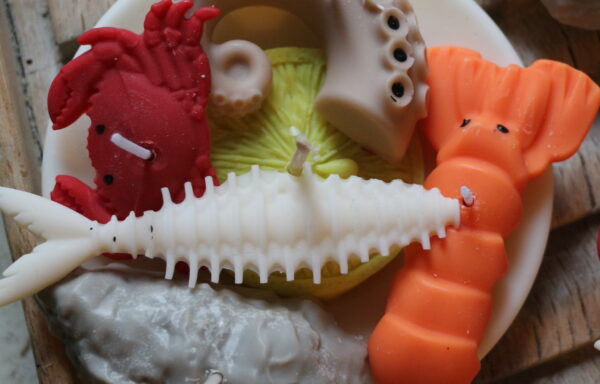 Plateau de fruits de mer