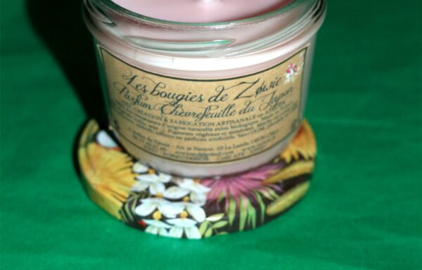 Pot&rsquo;s : Chèvrefeuille du Japon