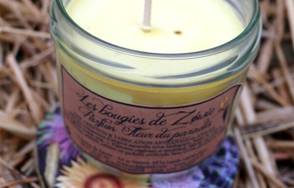 Pot&rsquo;s : Fleur du paradis