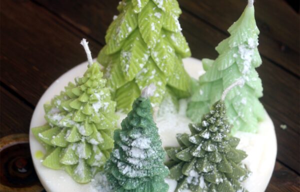 Noël – Pine forest