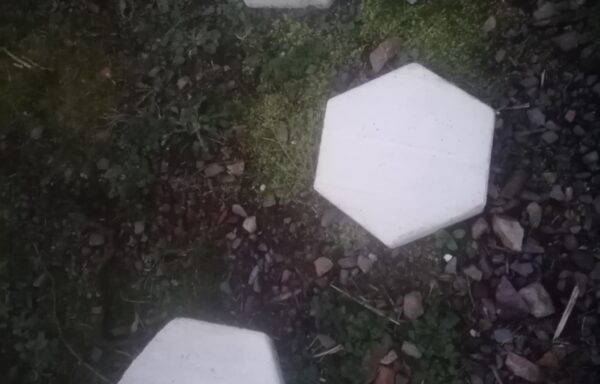 Pas japonais – Hexagone