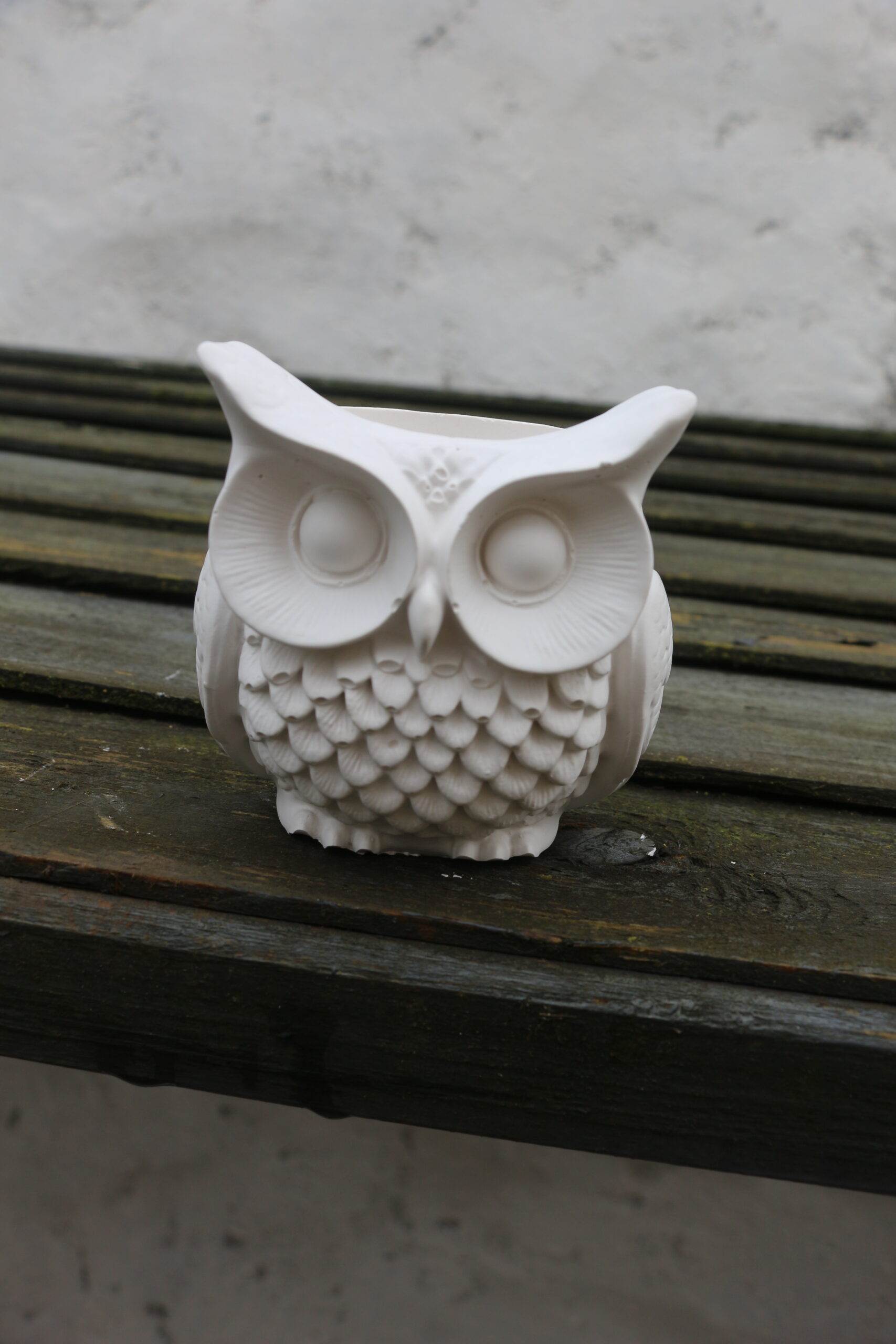 Pot hibou