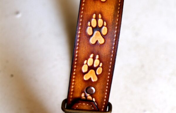 Collier pour animaux (grands)